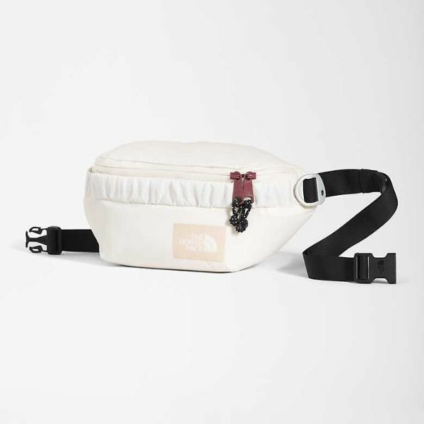 The North face Mountain Lumbar Pack 北面 腰包 1