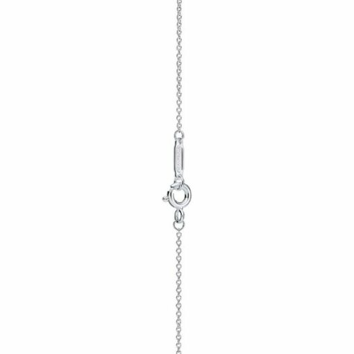 Tiffany & Co. Circle Pendant 2
