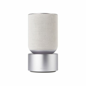 BANG & OLUFSEN Nordic Ice Beosound Balance Speaker