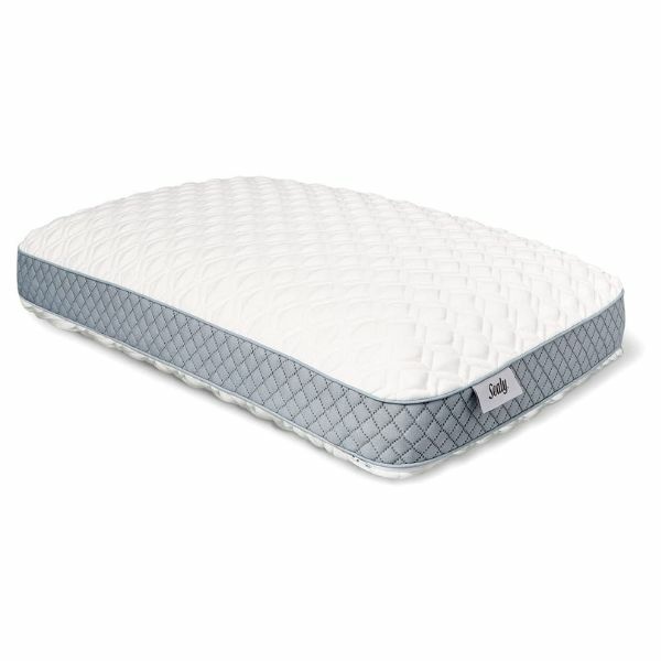 Sealy Molded Memory Foam Pillow 記憶棉枕頭 1