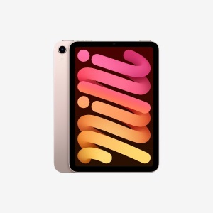 APPLE iPad mini