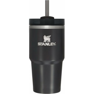 Stanley Quencher H2.0 FlowState Stainless Steel Vacuum Insulated Tumbler with Lid and Straw for Water