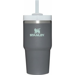 Stanley Quencher H2.0 FlowState Stainless Steel Vacuum Insulated Tumbler with Lid and Straw for Water