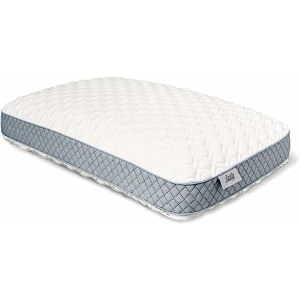 Sealy Molded Bed Pillow for Pressure Relief