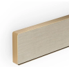 Bang & Olufsen Beosound Stage – Dolby Atmos Soundbar – TV and WiFi Speaker 低音單體的聲霸 5