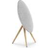 Bang & Olufsen Beosound A9 (5th Generation) 功能強大的極簡主義揚聲器 5