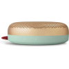 Bang & Olufsen Beosound A1 (2nd Generation) Wireless Portable Waterproof Bluetooth Speaker with Microphone 藍牙可攜式喇叭 5