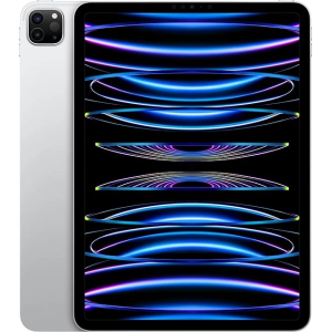 Apple iPad Pro 11-inch (4th Generation) 平板