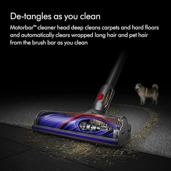 Dyson Cyclone V10 Animal Cordless Vacuum Cleaner 無線吸塵器 3