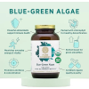 PURE SYNERGY Blue-Green Algae Powder 保健食品 5