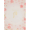 The History of Whoo Gongjinhyang Seol Radiant Brightening Moisture Cream 后 乳液 4
