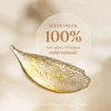 L’OCCITANE Overnight Reset Eye Serum 0.5 fl.oz. 歐舒丹 眼部星光瓶 5