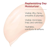Clarins Super Restorative Day Cream 克蘭詩 撫紋霜 4