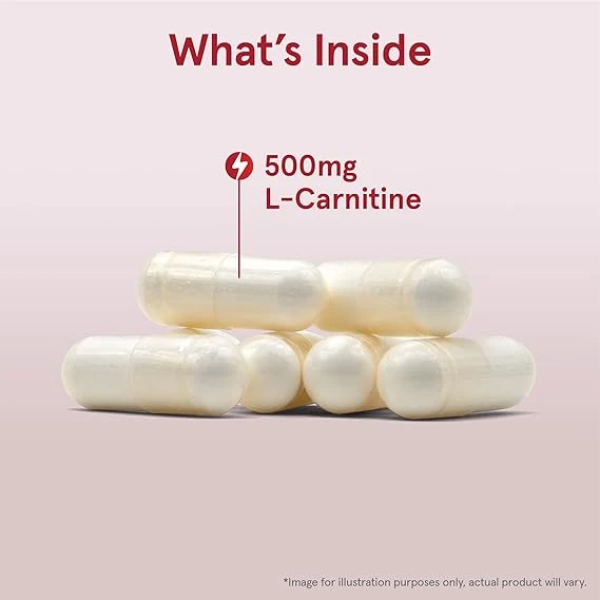 Jarrow Formulas L-Carnitine 500 mg 保健食品 3