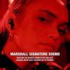 Marshall Motif True Wireless Noise Canceling Headphones 無線降噪耳機 - 黑色 4