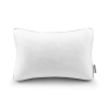 Beautyrest Absolute Rest Pillow 席夢思枕頭 5