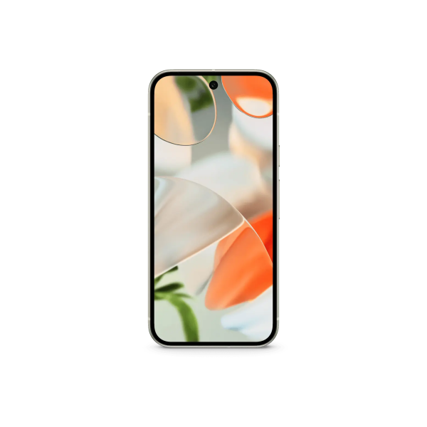 Google Pixel 9 1