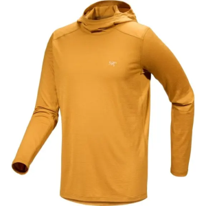 Arc'teryx Ionia Merino Wool Hoodie 4商品