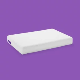 Purple Pillow 精選枕頭介紹：側睡、仰睡、趴睡皆適用！