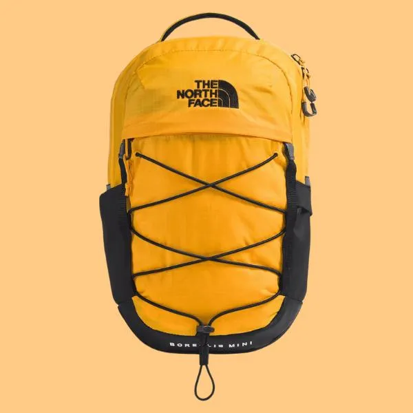 The North Face Borealis 10L 日常背包各色最低 7 折 11