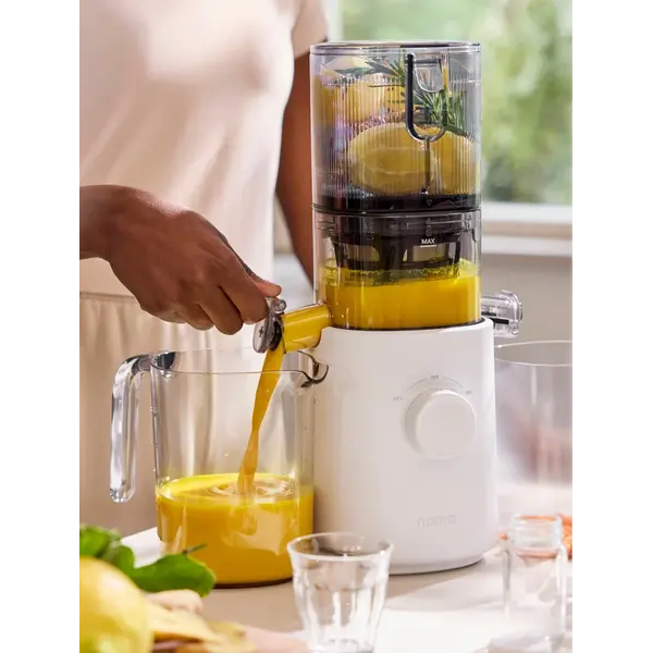 Nama J3 Cold Press Juicer 慢磨機 3