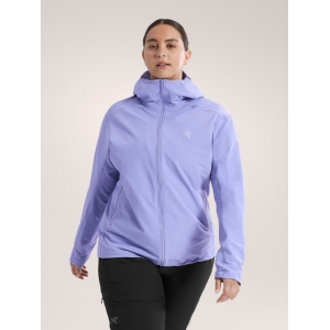 Arcteryx Gamma Hoody Women's
